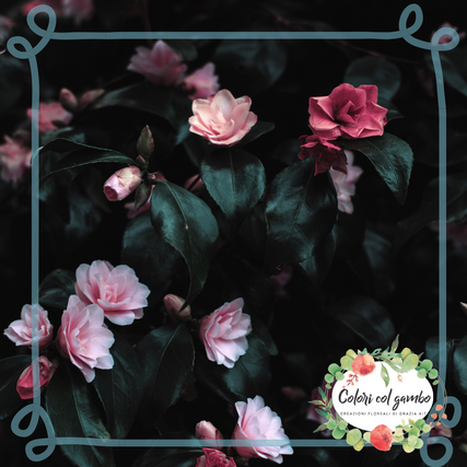 Colori col gambo - wild florist-22.png